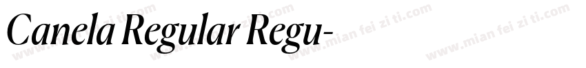 Canela Regular Regu字体转换